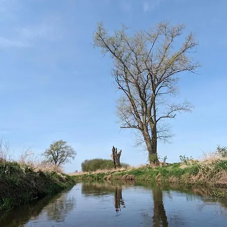 Dom W Dolinie Baryczy * Odolanów