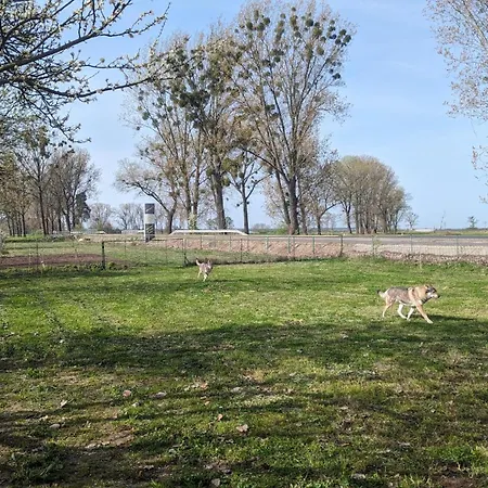 Dom W Dolinie Baryczy Nyaraló